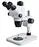 stereo zoom microscope